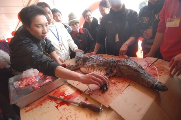 尼日利亚有多少人口_一个尼日利亚人口述 对中国人的印象并不好